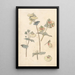 Études de fleurs - Theo Nieuwenhuis — quadro incorniciato alla parete