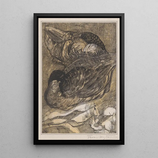 Theo van Hoytema - Twee slapende eenden.webp