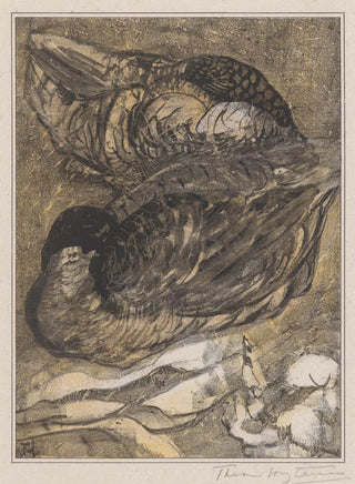 Theo van Hoytema - Twee slapende eenden.webp