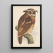 Hibou sur une branche bubo lettii - Theo van Hoytema — quadro incorniciato alla parete