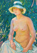 Nu au Panama - Theo van Rysselberghe — vista dell’opera