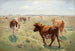 Vaches au pâturage - Theodor Philipsen — vista dell’opera