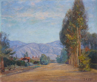 Colline vicino a Redlands, California - Theodore Clement Steele — vista dell’opera