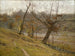 La floraison du raisin - Theodore Clement Steele — vista dell’opera