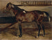 Cavallo marrone alla scuderia - Théodore Géricault — vista dell’opera