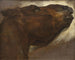 Studio di un cavallo morto - Théodore Géricault — vista dell’opera