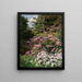 Rododendro rosa e bianco in una foresta - Thomas Allen Jr — quadro incorniciato alla parete