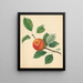 Orange Pippin - Thomas Andrew Knight — quadro incorniciato alla parete