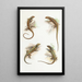 Cryptoblepharus - Thomas Barbour — quadro incorniciato alla parete