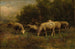 Pecore al Pascolo - Thomas Bigelow Craig — vista dell’opera