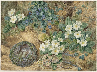 Thomas Frederick Collier - Stilleven van een vogelnestje viooltjes primulas en appelbloesem.webp