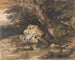 Un stagno boschivo con rocce e piante - Thomas Gainsborough — vista dell’opera