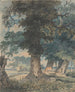 Cervo nella foresta di Windsor - Thomas Girtin — vista dell’opera