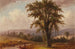 Paesaggio - Thomas Hill — vista dell’opera