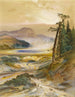 Geyser Excelsior Parc de Yellowstone - Thomas Moran — vista dell’opera