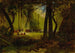 Ricezione di Dominique de Gourgues da parte degli Indiani - Thomas Moran — vista dell’opera