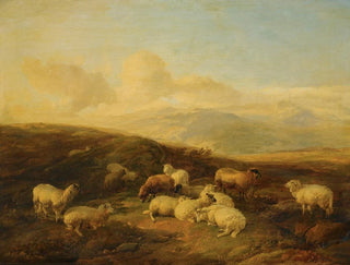 Moutons dans un paysage de lande - Thomas Sidney Cooper — vista dell’opera