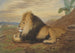 Un leone - Thomas William Wood — vista dell’opera