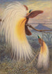 Oiseaux de paradis - Thomas William Wood — vista dell’opera