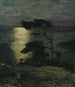 Pin sulla costa alla luce della luna - Thorolf Holmboe — vista dell’opera
