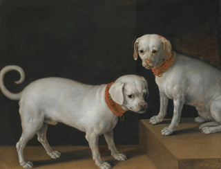 Due cani con collari rossi - Tiberio Titi — vista dell’opera