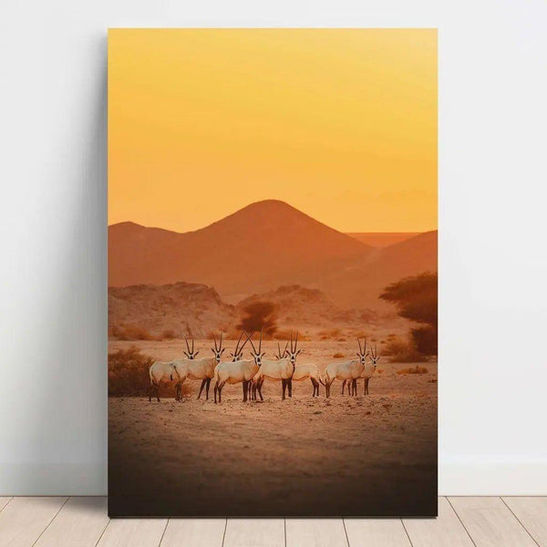 Stampa fotografica di natura : La Sinfonia del deserto