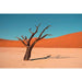 Stampa fotografica di paesaggi - L'essenza del deserto africano immortalata