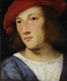 Ritratto di un giovane uomo - Tiziano — vista dell’opera