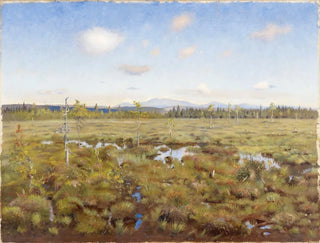 Paesaggio della Lapponia - Torsten Wasastjerna — vista dell’opera
