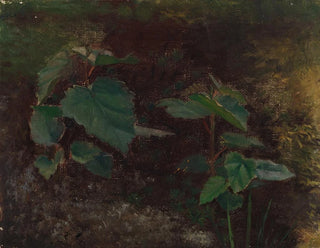 Schizzo di piante di alberi per la pittura Principessa delle fiabe - Torsten Wasastjerna — vista dell’opera