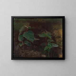 Schizzo di piante di alberi per la pittura Principessa delle fiabe - Torsten Wasastjerna — quadro incorniciato alla parete