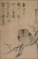 Hibou - Tsuda Bensaku — vista dell’opera