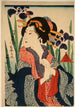 La courtisane - Tsukioka Yoshitoshi — vista dell’opera