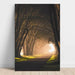 Tunnel di luci | Decorazione fotografica di natura