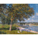 Riproduzione del dipinto Un Noyer dans la Prairie de Thomery - Alfred Sisley