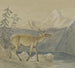Un cervo ferito cerca conforto al bordo di un lago di montagna - Johann Erdmann Gottlieb Prestel — vista dell’opera