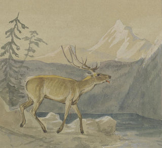 Un cerf blessé cherche du réconfort au bord d'un lac de montagne - Johann Erdmann Gottlieb Prestel