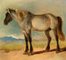 Un cavallo bianco con una testa nera - Friedrich Gauermann — vista dell’opera