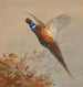 Un fagiano e un gallo in volo - Archibald Thorburn — vista dell’opera