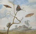 Un scarafaggio su un ramo, due farfalle, una falena e un piccolo scarabeo sopra e un paesaggio sullo sfondo - Margareta de Heer — vista dell’opera