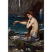 Riproduzione del dipinto Una Sirena - John William Waterhouse