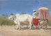 Carrosse per Delhi - Vasily Vereshchagin — vista dell’opera