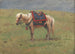 Poneys himalayens - Vasily Vereshchagin — vista dell’opera