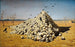 L'Apoteosi della guerra - Vasily Vereshchagin — vista dell’opera