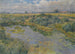 Paesaggio fluviale - Václav Radimský — vista dell’opera