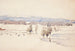 Paesaggio di fine inverno - Venny Soldan-Brofeldt — vista dell’opera