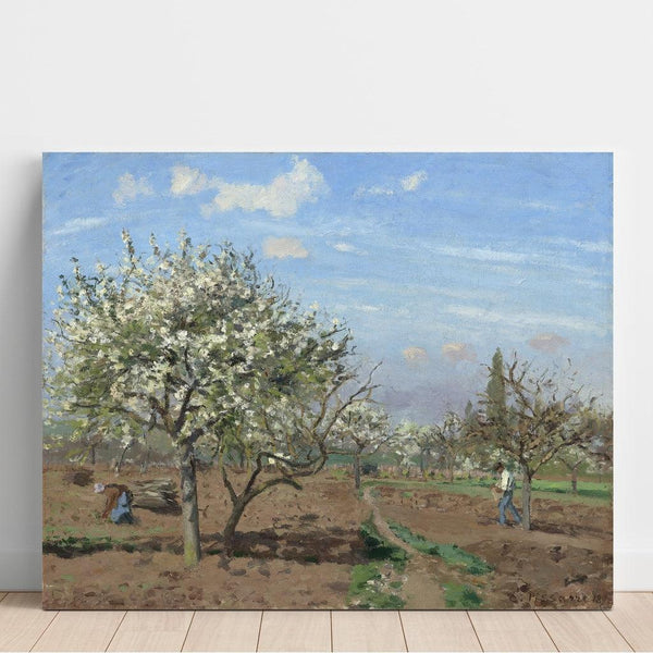 Riproduzione del dipinto Verger in fiore, Louveciennes - Camille Pissarro