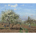 Riproduzione del dipinto Verger in fiore, Louveciennes - Camille Pissarro