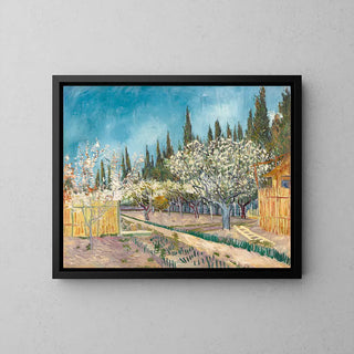 Frutteto bordato di cipressi - Vincent Van Gogh