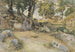 Rochers e querce nella Serpentara - Victor Paul Mohn — vista dell’opera
